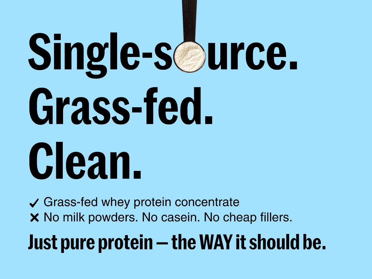 Whey Protein Concentrate – Chocolate